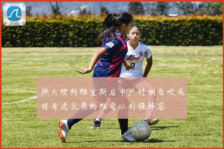 热火续约维金斯后中产特例告吹或将考虑交易约维奇以补强阵容