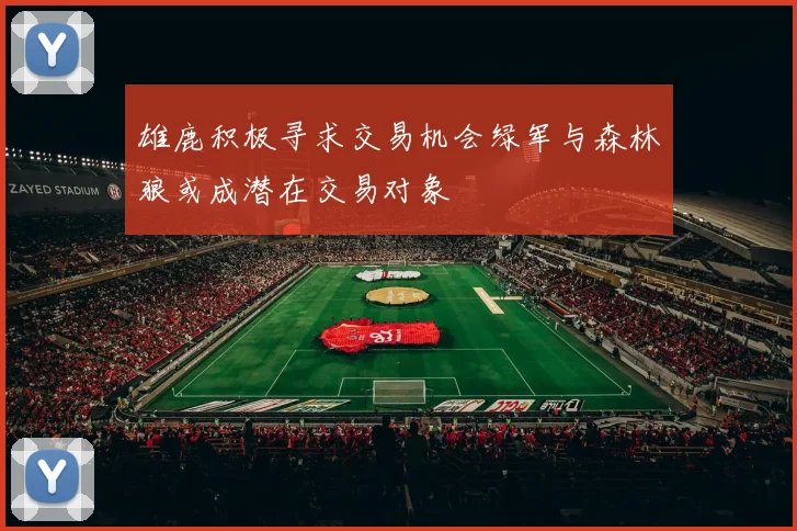 雄鹿积极寻求交易机会绿军与森林狼或成潜在交易对象